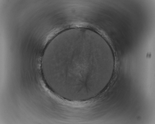 X0000114580010200911161319