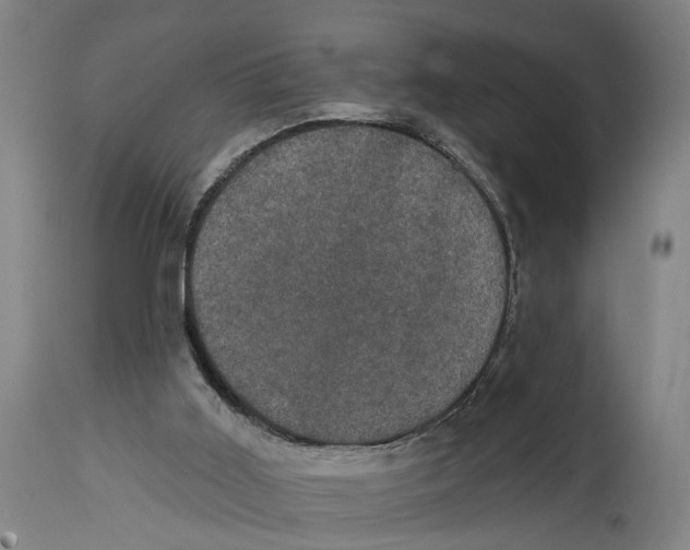 X0000114580011200911161319