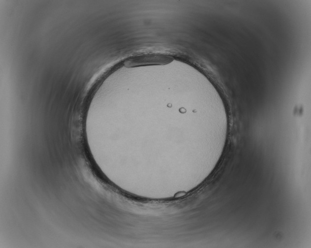 X0000114580012200911161319