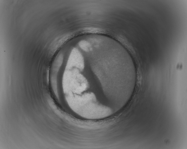 X0000114580014200911161319