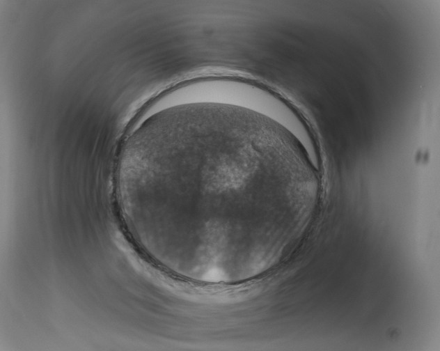 X0000114580015200911161319