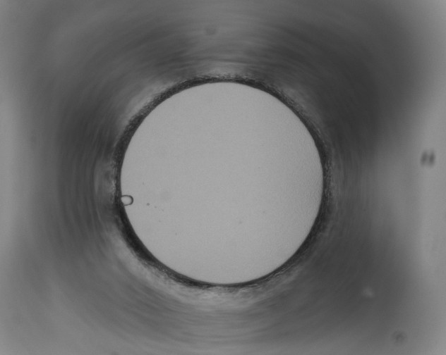 X0000114580016200911161319