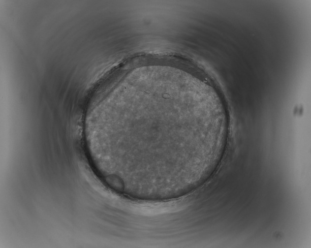 X0000114580017200911161319