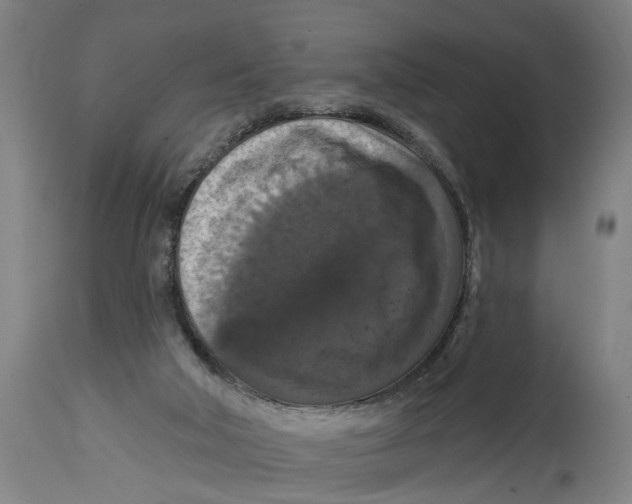 X0000114580018200911161319