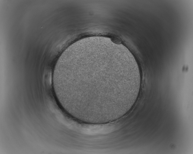 X0000114580021200911161319