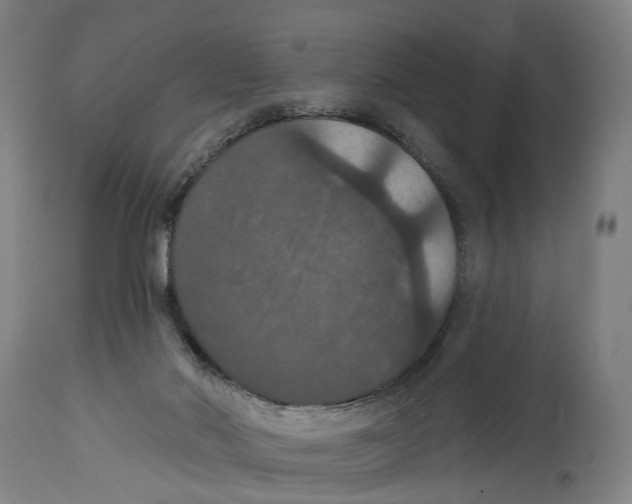 X0000114580022200911161319