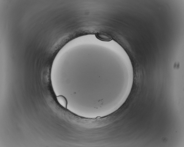 X0000114580023200911161319