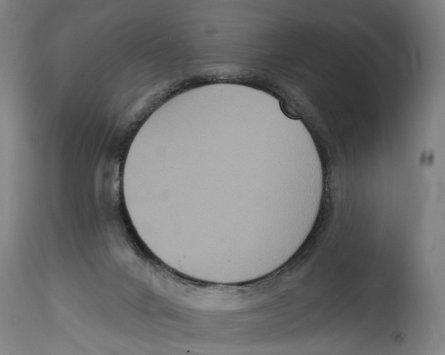 X0000114580024200911161319