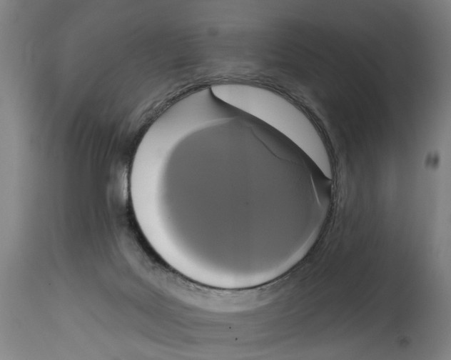 X0000114580027200911161319