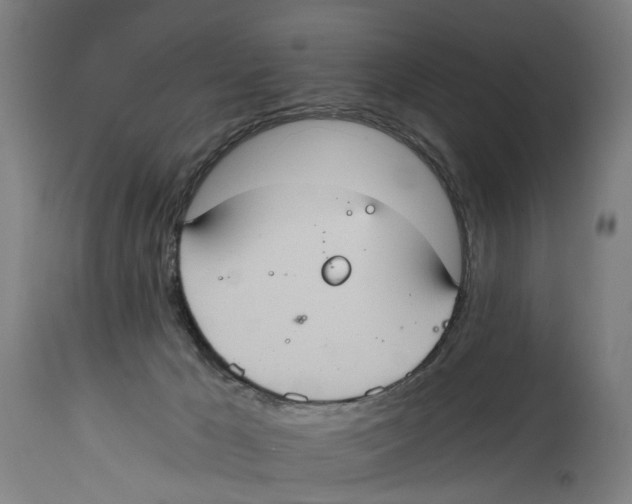 X0000114580029200911161319