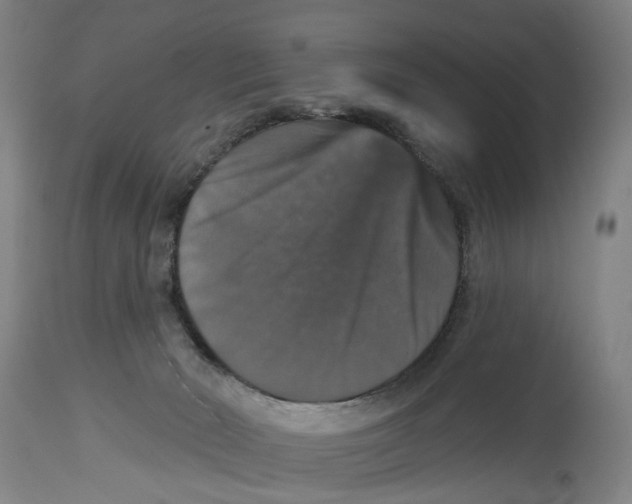 X0000114580030200911161319