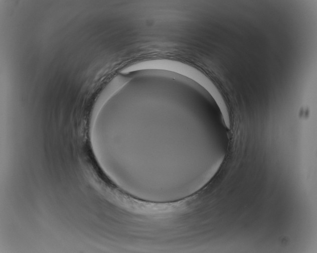 X0000114580031200911161319