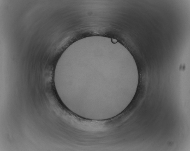 X0000114580032200911161319