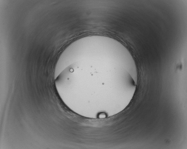 X0000114580033200911161319