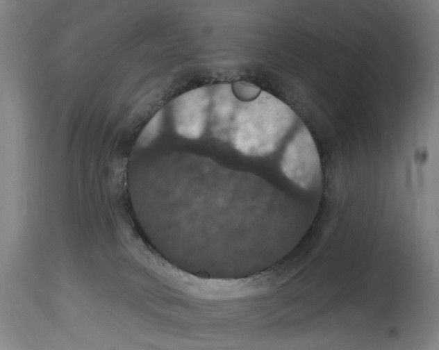 X0000114580034200911161319