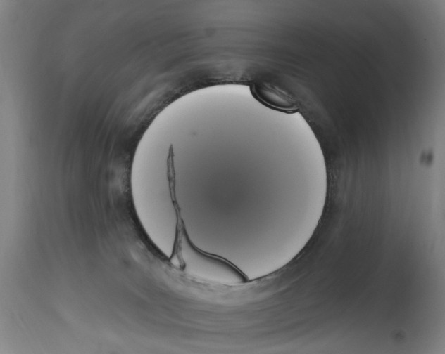 X0000114580035200911161319