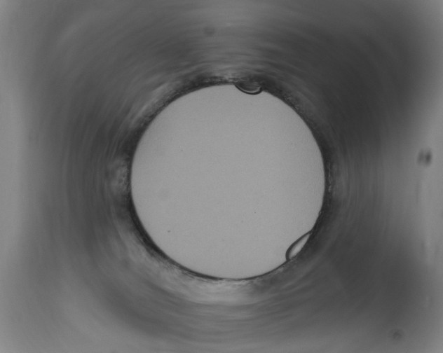 X0000114580036200911161319