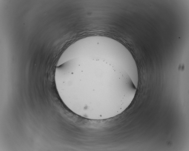 X0000114580037200911161319