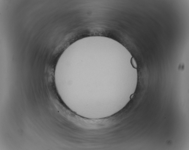 X0000114580038200911161319