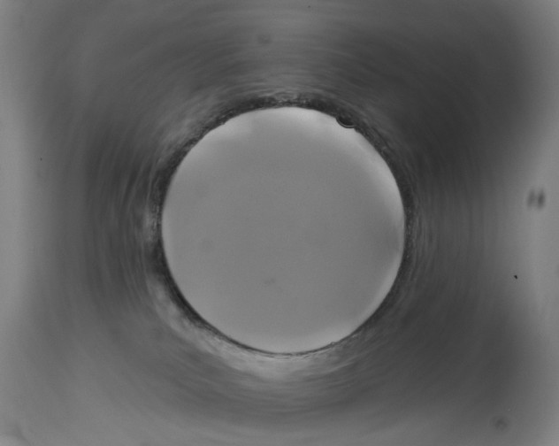 X0000114580039200911161319