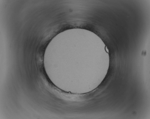 X0000114580040200911161319