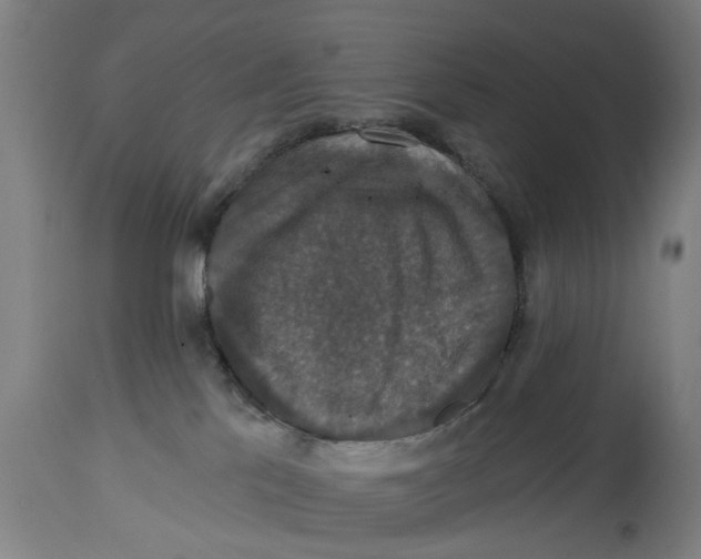 X0000114580041200911161319