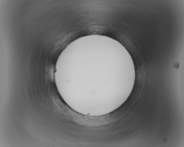 X0000114580042200911161319