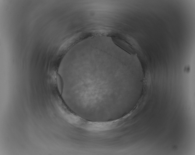 X0000114580045200911161319