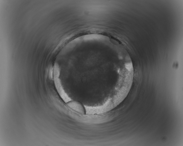 X0000114580046200911161319