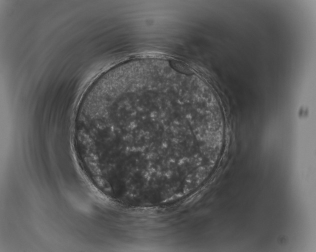 X0000114580049200911161318