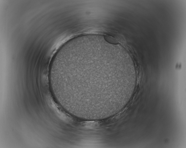 X0000114580050200911161318