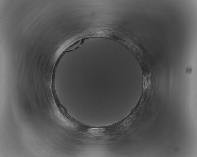 X0000114580051200911161318