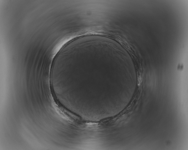 X0000114580052200911161318