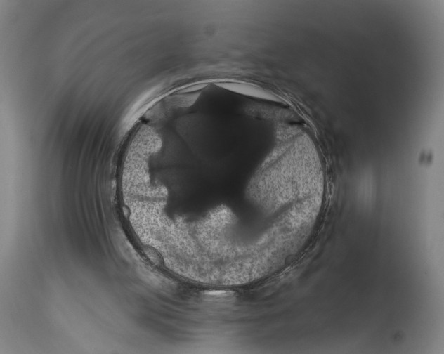 X0000114580053200911161318