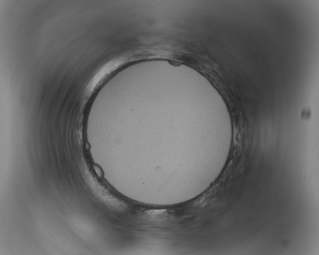 X0000114580054200911161318