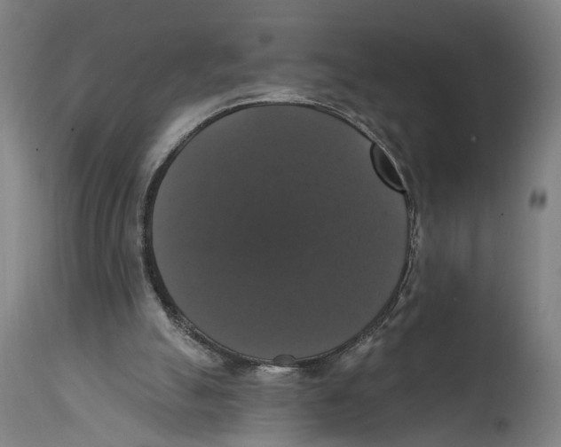 X0000114580055200911161318