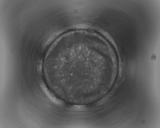 X0000114580057200911161318