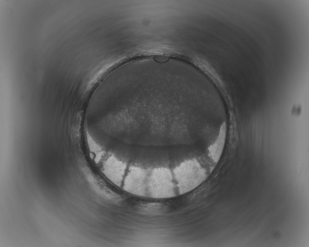 X0000114580058200911161318