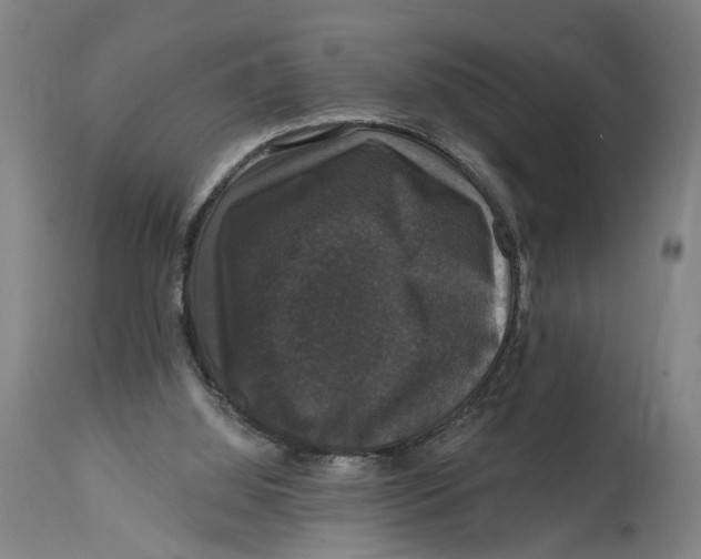 X0000114580060200911161318