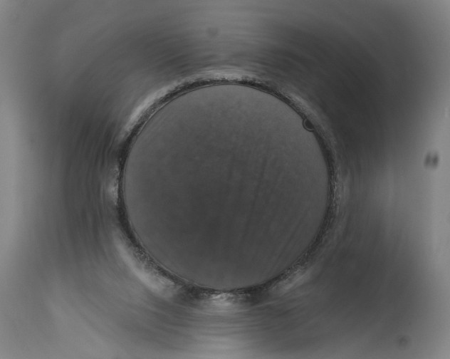 X0000114580064200911161318