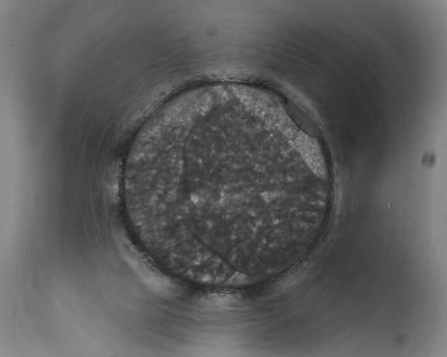 X0000114580065200911161318