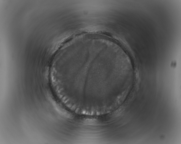 X0000114580066200911161318