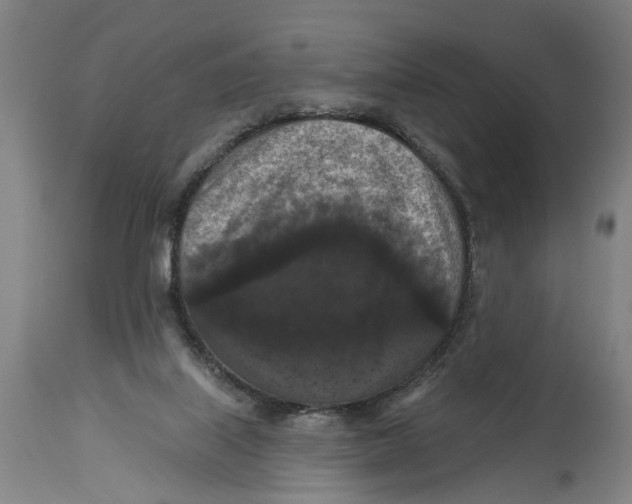 X0000114580067200911161318