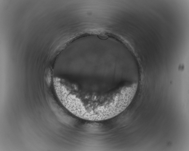 X0000114580069200911161318