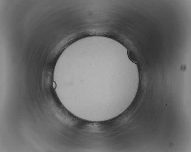 X0000114580071200911161318