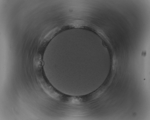 X0000114580073200911161318