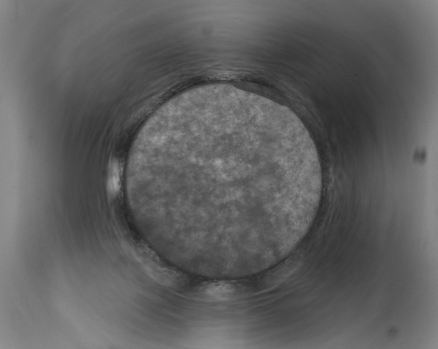 X0000114580075200911161318