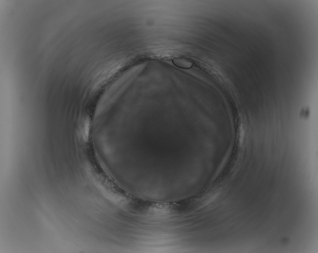 X0000114580076200911161318