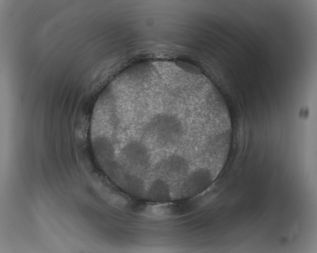 X0000114580078200911161318