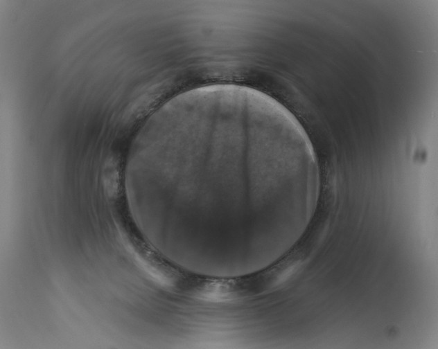 X0000114580080200911161318